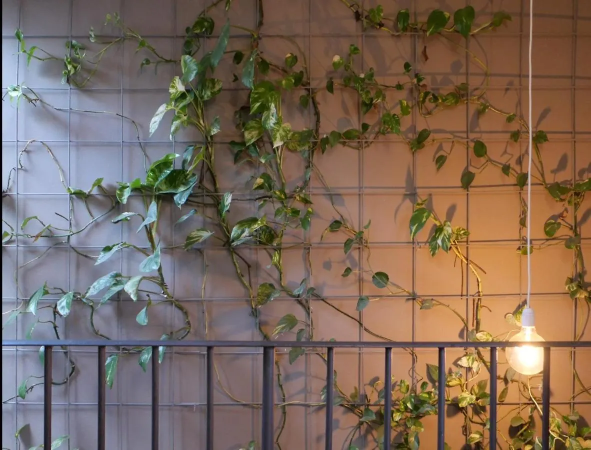 Domus 19 Hotel Florence