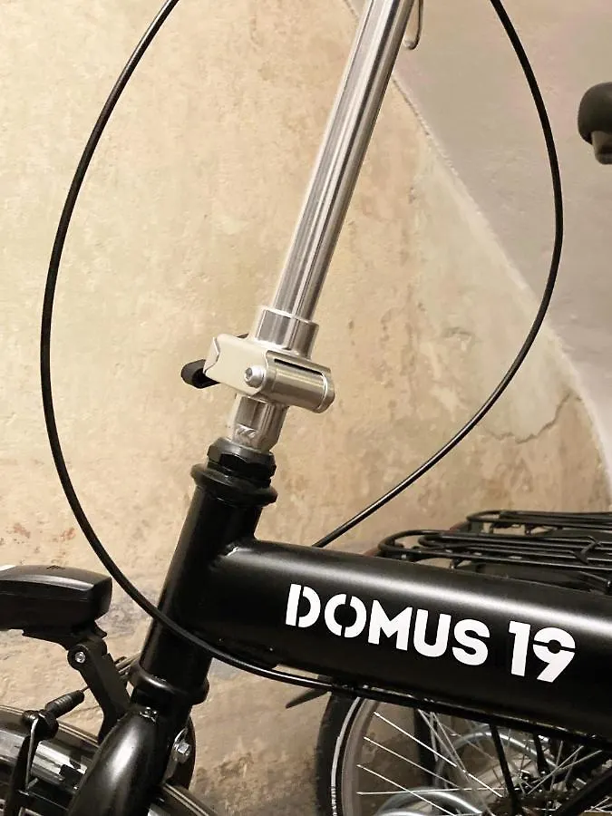 *** בית הארחה מלון פירנצה Domus 19 איטליה