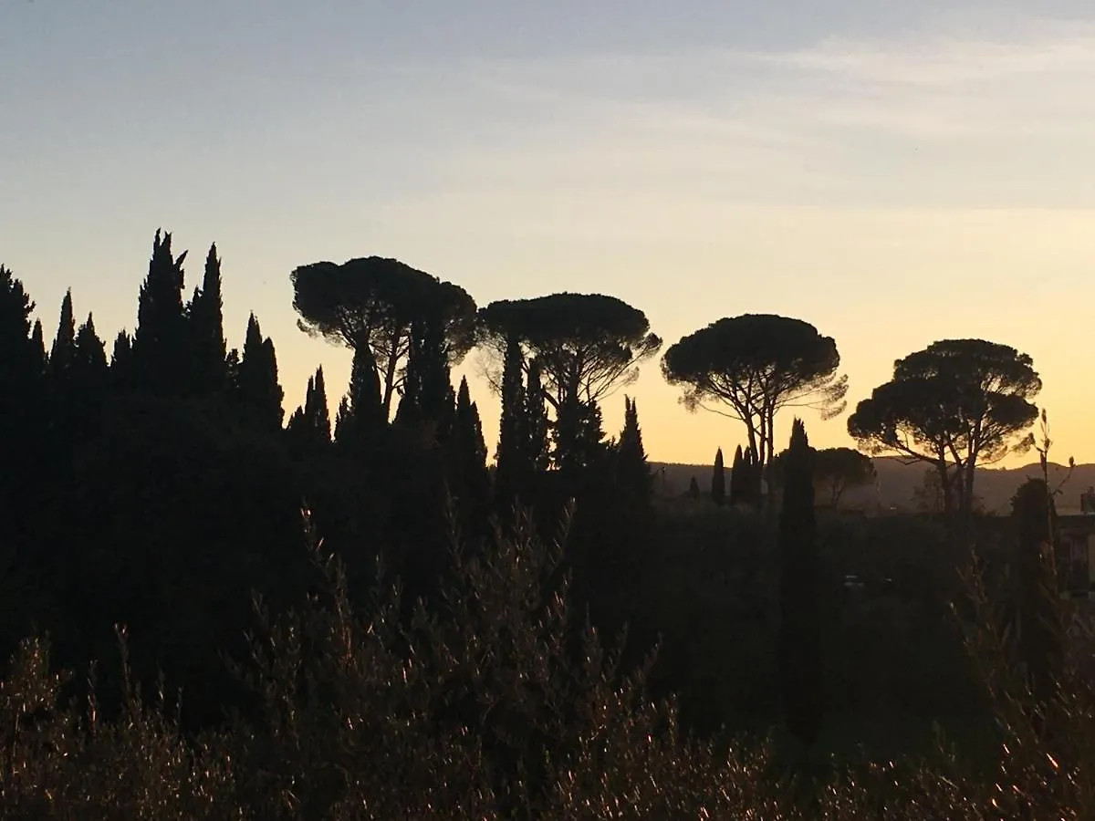 Hotel Domus 19 Firenze Italia